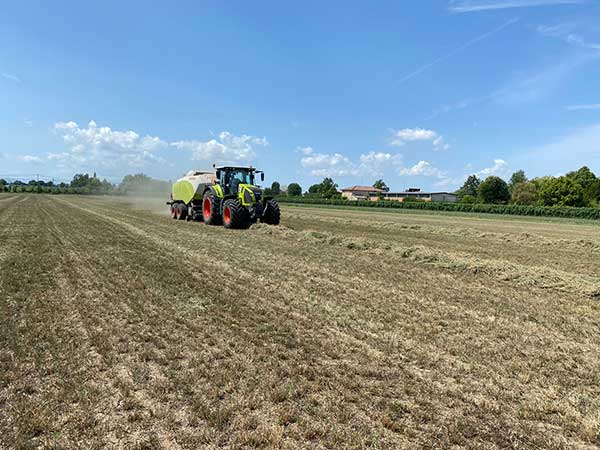 Azienda-per-la-produzione-di-foraggi