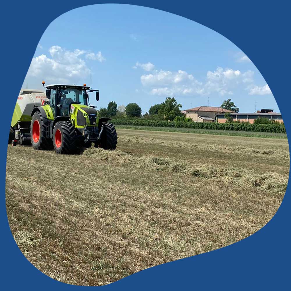 Ferretti-foraggi-srl-rubiera-reggio-emilia