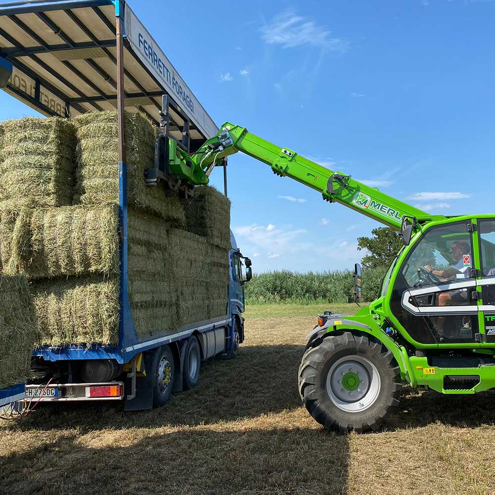 Vendita-e-trasporto-di-forniture-di-foraggi