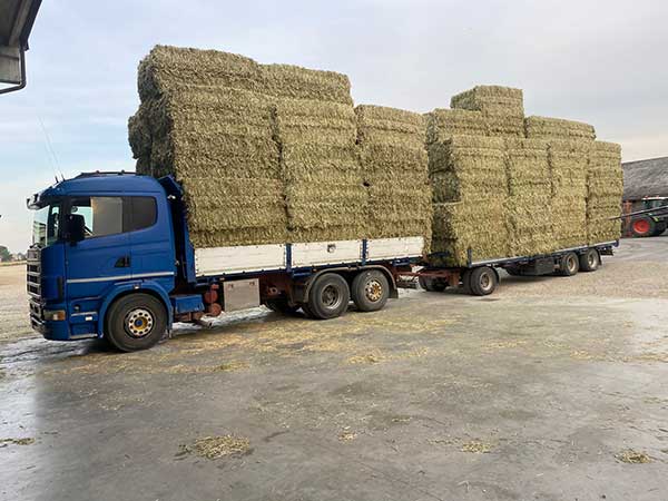 stoccaggio-di-rotoballe-di-fieno-per-equini
