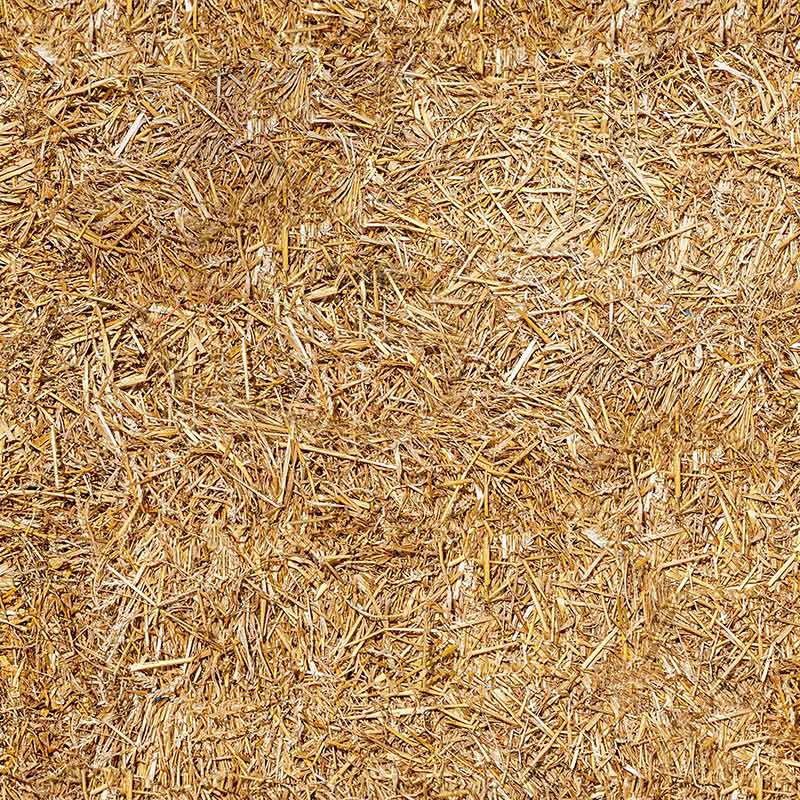 Commercio-foraggi-di-terzo-taglio-per-ovini